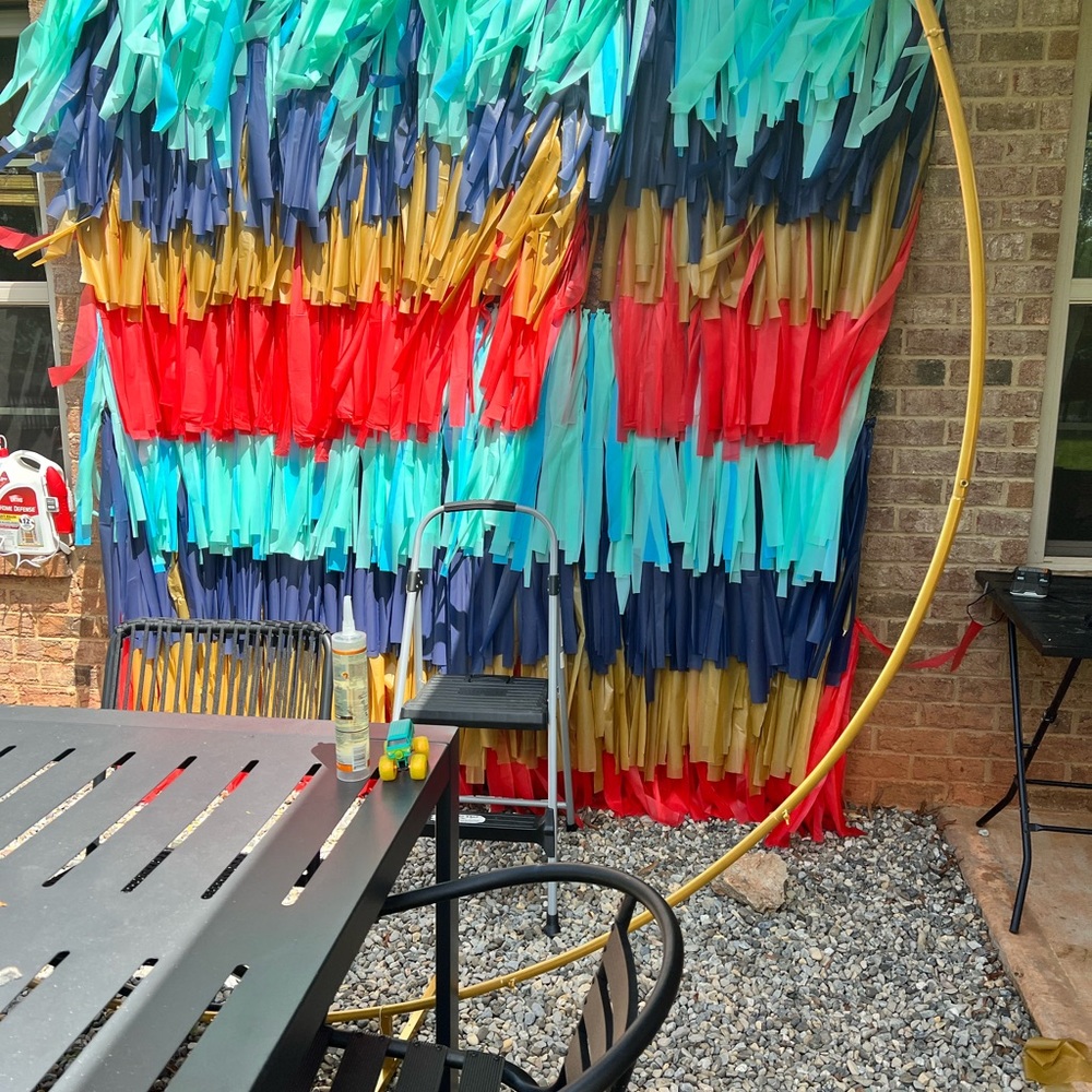 Fringe Backdrop - Picture 2 of 4